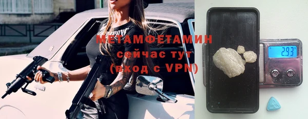 сатива Беломорск