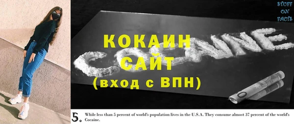 сатива Беломорск