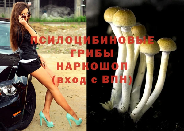 крисы Семикаракорск