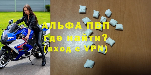 сатива Беломорск