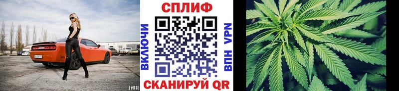 купить наркоту  Дигора  блэк спрут ССЫЛКА  Бошки Шишки SATIVA & INDICA 